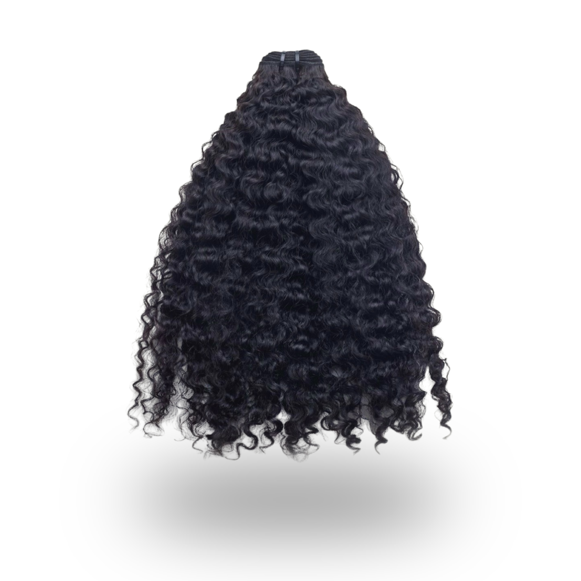 Burmese hair - Coupe courte